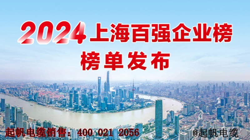 2024年上海百?gòu)?qiáng)企業(yè)榜單發(fā)布 2024年上海百?gòu)?qiáng)企業(yè)榜單發(fā)布